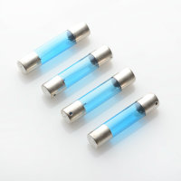 Accuphase P-300S Lamps / Bulbs
