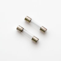 Saba VS-2160 VS-2080 Lamps / Bulbs