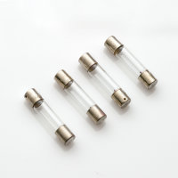 Sansui 221 331 331L 331SS 441 551 Lampen / Lamps / Bulbs...