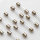 Scott T-526 Lamps / Bulbs / Lamp Kit