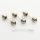 Wega T4710 Lampen / Lamps / Bulbs