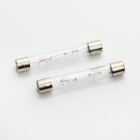 S6 Fuse Lamps 6x45